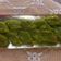 Sangita Vyas's cooksnap of when they made દૂધી નો હલવો.