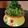 Jagruti Chauhan's cooksnap of when they made હૈદરાબાદી ગ્રીન બિરયાની (Hyderabadi Green Biriyani Recipe In Gujarati).