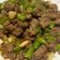 賴小孟 的 四季豆炒肉末 cooksnap