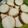Cooksnap dari tutik saja untuk resep Kue Lumpur #keto#