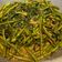 Cooksnap MocQue semasa beliau membuat Sayur kangkung goreng belacan.