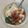 Cooksnap dari mak surentu untuk resep Resep Mie Ayam Rumahan Ala Shebb's Kitchen