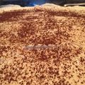 صورة من Ohoud 292580، شاركها بعد تجربة وصفة حلى شعيريه باكستانيه
