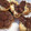 El cooksnap de Cook_and_Jud cuando hizo Magdalenas marmoladas de vainilla, almendras y chocolate.