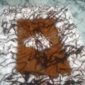 El cooksnap de Silvana Birriel cuando hizo Torta Brownie.