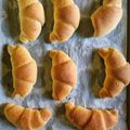 Veronika Dömötör Cooksnap-ja, amikor elkészítette a(z) Házi kifli receptet.