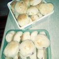 El cooksnap de luciapereyra90 cuando hizo Pancitos con salame.