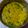 Falguni Shah's cooksnap of when they made મગની મોગર દાળ (Moong Mogar Dal Recipe In Gujarati).
