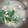 Lin Qi Hui 的 塔香蚵仔湯 cooksnap