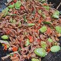 Cooksnap dari bollewangen untuk resep Oseng teri&petai lombok ijo