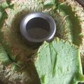 Cooksnap dari VeRa HaNif untuk resep Bolu pandan putih telur