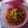 Esha Maity 's cooksnap of when they made চিঁড়ের পোলাও (chirer pulao recipe in Bengali).