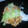 ericadawn1972's cooksnap of when they made Mexican Doritos casserole.