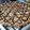 El cooksnap de Maria Laura Pardo cuando hizo Tarta Frola de ricota y almendras.👩🏼‍🍳🤩.