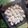 Cooksnap dari Lisa Kim untuk resep Putri salju keju takaran sendok