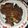 Cooksnap dari tjie untuk resep Ayam goreng serai
