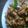 Cooksnap dari Bella untuk resep Sambal Tempe Penyet #pr_recookmasakanpedas