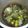 Cooksnap dari lia sukmawati untuk resep Sayur sop (bumbu ulek)