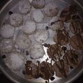 El cooksnap de Mariela Alfieri cuando hizo Galletas de jengibre y canela saludables.