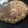 El cooksnap de Natalia Kaulitz cuando hizo Tortilla de papa económica.