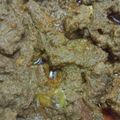 Cooksnap dari Evie Lestari untuk resep Rendang Daging Sapi