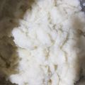 El cooksnap de cocina cuando hizo Puré de Coliflor.