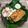 Cooksnap dari Maria Feronika untuk resep Nasi Bakar Ayam Suwir Kemangi