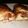 Angel's cooksnap of when they made Stuffed Breakfast Biscuits.