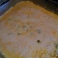 paultjones911's cooksnap of when they made Sour cream cheddar chicken breast.