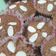 Cooksnap dari Maya Dundu untuk resep Bolu Pisang *gluten free