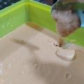 El cooksnap de Dan cuando hizo Flan de Guayaba.