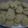 El cooksnap de erica cuando hizo Galletitas de avena y coco.