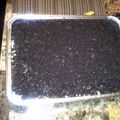 rpayne6838's cooksnap of when they made Dirt Cake.