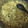 daniel.sommers.796's cooksnap of when they made Stroganoff.