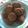 Cooksnap dari Novita Sari untuk resep Rempah kelapa
