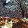 Cooksnap από Νικόλ_ στη συνταγή Brownies με αβοκάντο και μέλι, υγιεινά και light