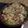 El cooksnap de Mery cuando hizo Espinacas con setas.