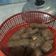 Cooksnap dari Dinda Ronny untuk resep Pempek ikan tegiri