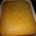 El cooksnap de Sibila Garcia cuando hizo Bizcochuelo de naranja con harina leudante👌.