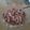 El cooksnap de Cecilia Sosa cuando hizo Arroz con calamares.