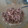 El cooksnap de Cecilia Sosa cuando hizo Arroz con calamares.