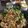 chef Nidhi Bole's cooksnap of when they made સૂકી ભેળ (Suki Bhel Recipe In Gujarati).
