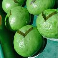 Cooksnap dari Naila Niam untuk resep Bakpao Pandan isi Cokelat