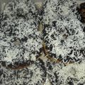 Cooksnap dari Riana untuk resep Donat ala jco (1x proving)