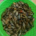 Cooksnap dari Rahajeng Kartika untuk resep TebalBumRuj (Tebalan Bumbu Rujak) Ala Anak Kost