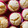 El cooksnap de maquii martos cuando hizo Muffins de limón.