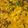 Pankti Baxi Desai's cooksnap of when they made પનીર ભુરજી (Paneer Bhurji Recipe In Gujarati).