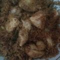 Cooksnap dari Ainin Amariana untuk resep Ayam Goreng Serundeng