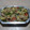 El cooksnap de Lady Marmalade cuando hizo Ensalada con patata y caballa.