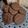 El cooksnap de Eka cuando hizo Galletas de avena y cacao.